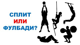 СПЛИТ или ФУЛБОДИ? / Сколько раз в неделю тренировать мышечную группу