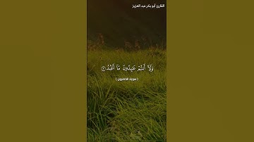 سورة،الكافرون