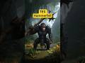 THIS is what AI thinks TES Hammerfell will look like #skyrim #gaming #elderscrolls #Hammerfell