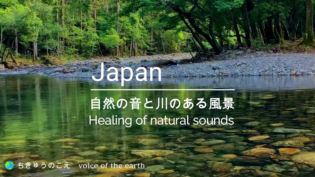 【自然の音と風景】癒しのせせらぎ音/森に響く野鳥のさえずり/九州の自然/riversound/bird chirping /natural