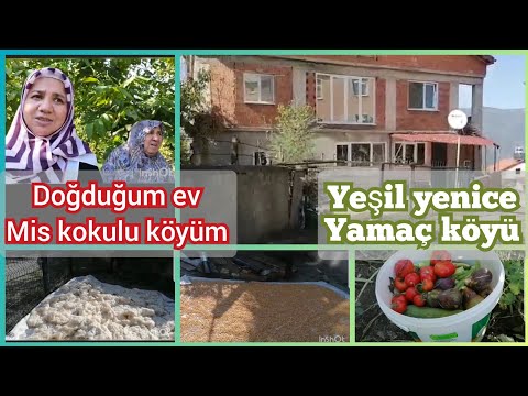 NEDEN TEMİZLİK İÇİN YARDIMCI ALMADIM⁉️DOĞDUĞUM KÖY VE EV🇹🇷 YEŞİL DENİZ KÖYÜM❌ HERŞEY ORGANIK❌KÖYVLOG