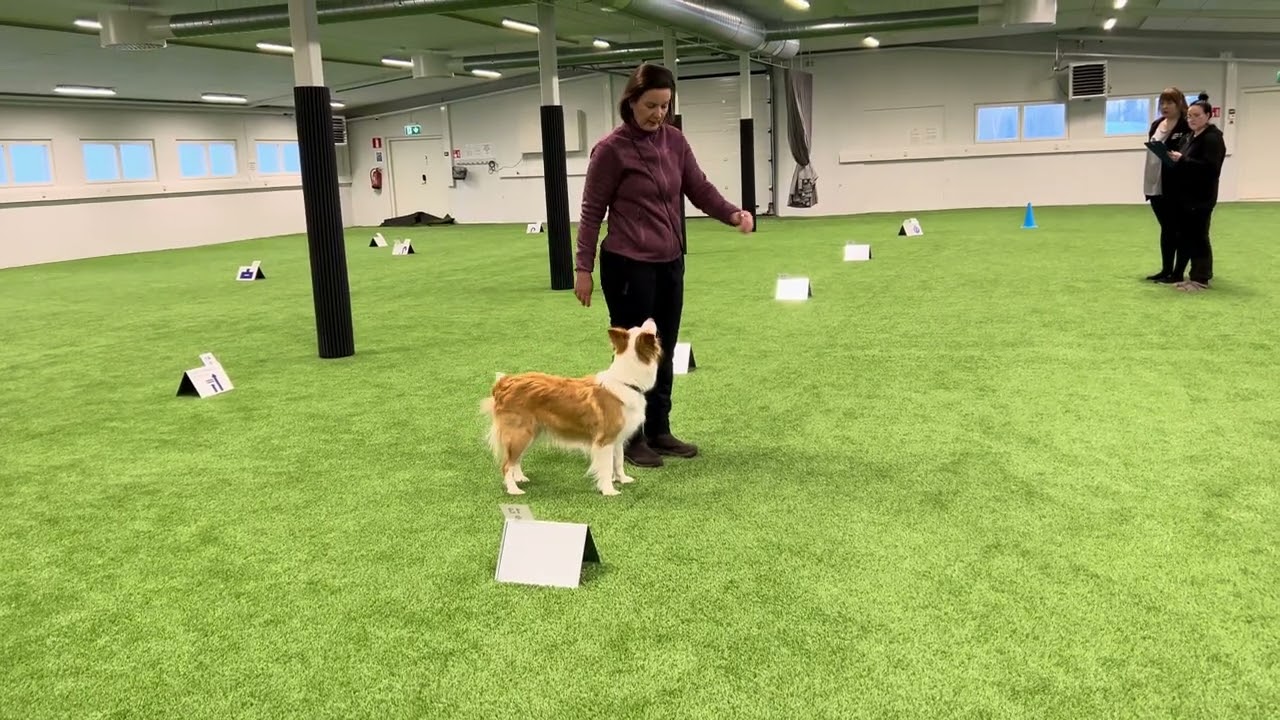 Lysti rally MES 86 p. Kannus 10.1.2026