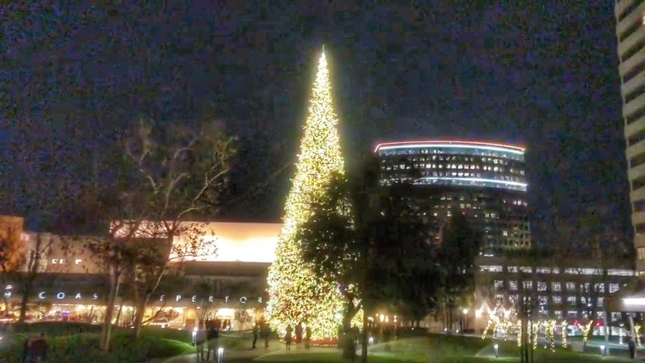 Christmas Tree Lighting, Town Center Park (Across From South Coast