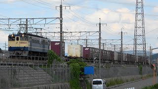2022/08/29 5087レ EF65-2070+コキ20両