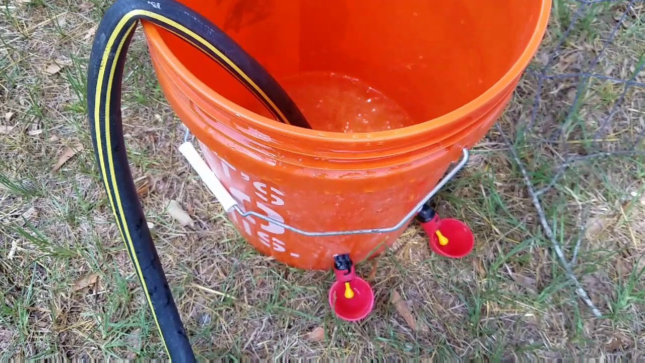 how-to-make-a-5-gallon-chicken-waterer-youtube