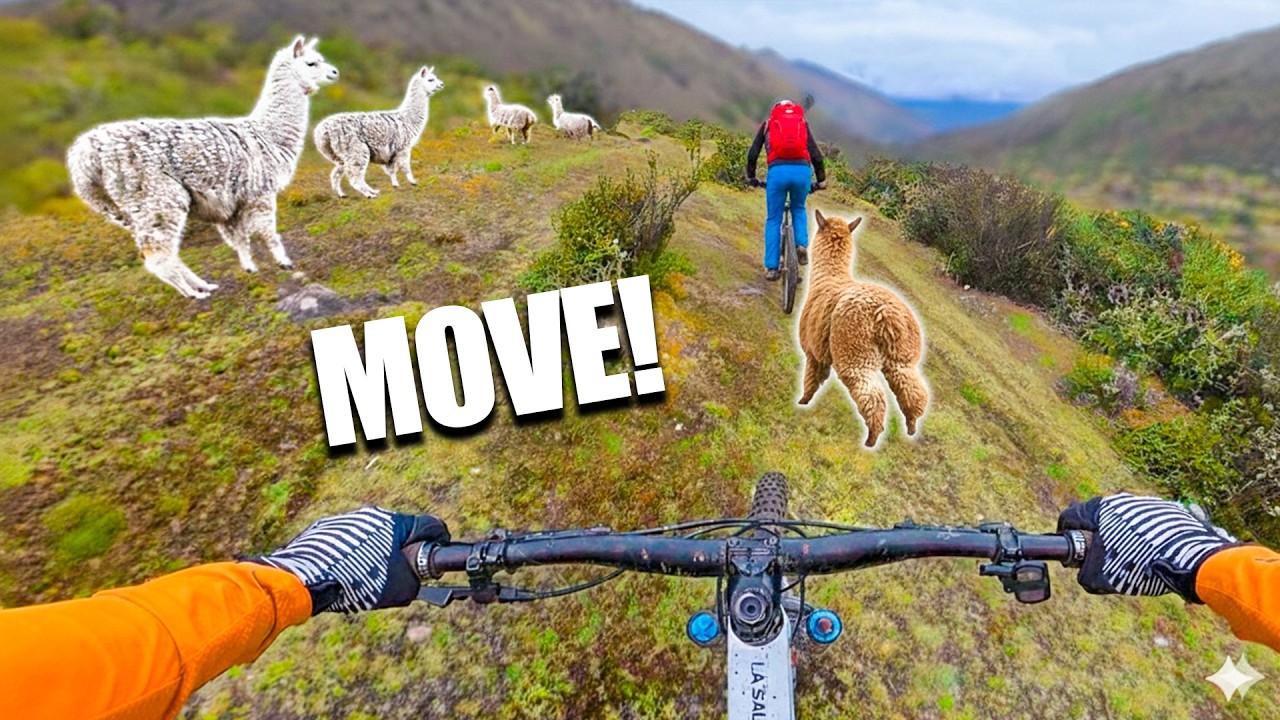 The Craziest Trail Obstacle Yet...