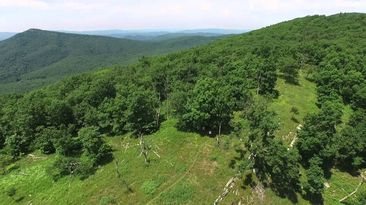 Great North Mountain - Woodstock VA