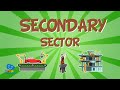 Understanding the Secondary Sector