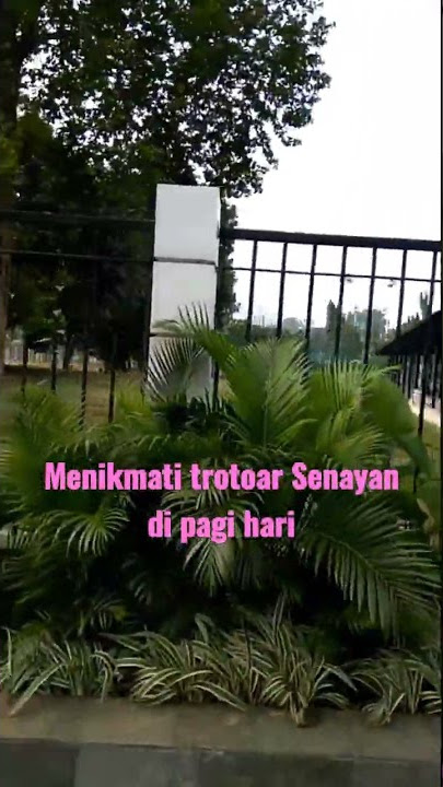 Trotoar Senayan || Jalan Pagi #trotoar #jakarta #jakartakeren
