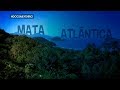 Arquivo A: Mata Atlântica