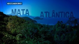 Arquivo A: Mata Atlântica