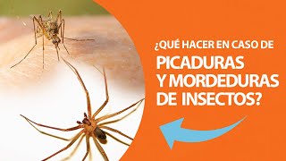 ¿Qué hacer en caso de picaduras y mordeduras de insectos?