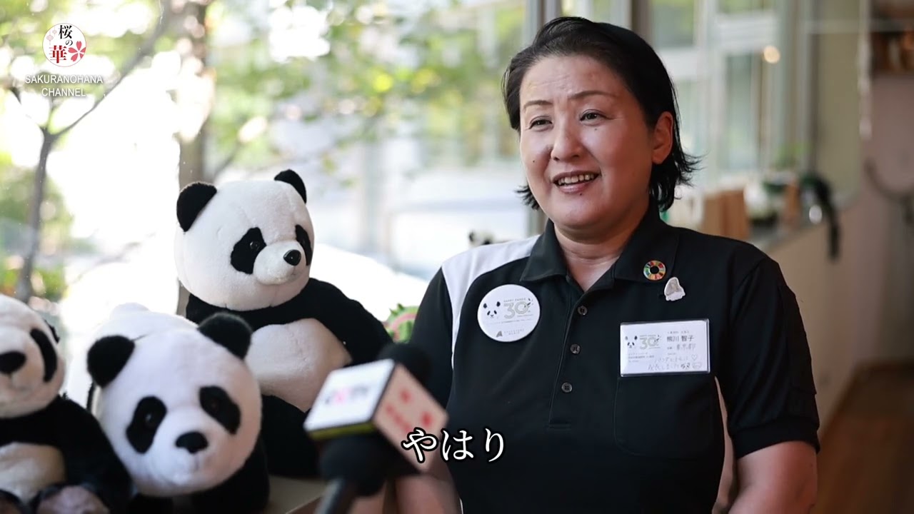 和歌山アドベンチャーワールドでの32年、飼育員熊川智子さんとパンダの