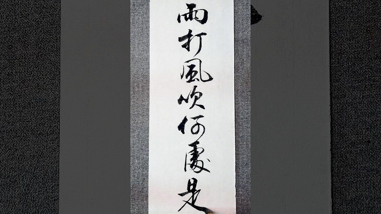 雨打风吹何处是，繁华落尽见本心 #书法 #写字是一种生活