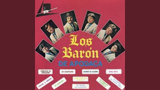 Video thumbnail of "Los Barón de Apodaca - Mi Terruño"
