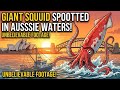 Giant Squid Spotted in Aussie Waters!
