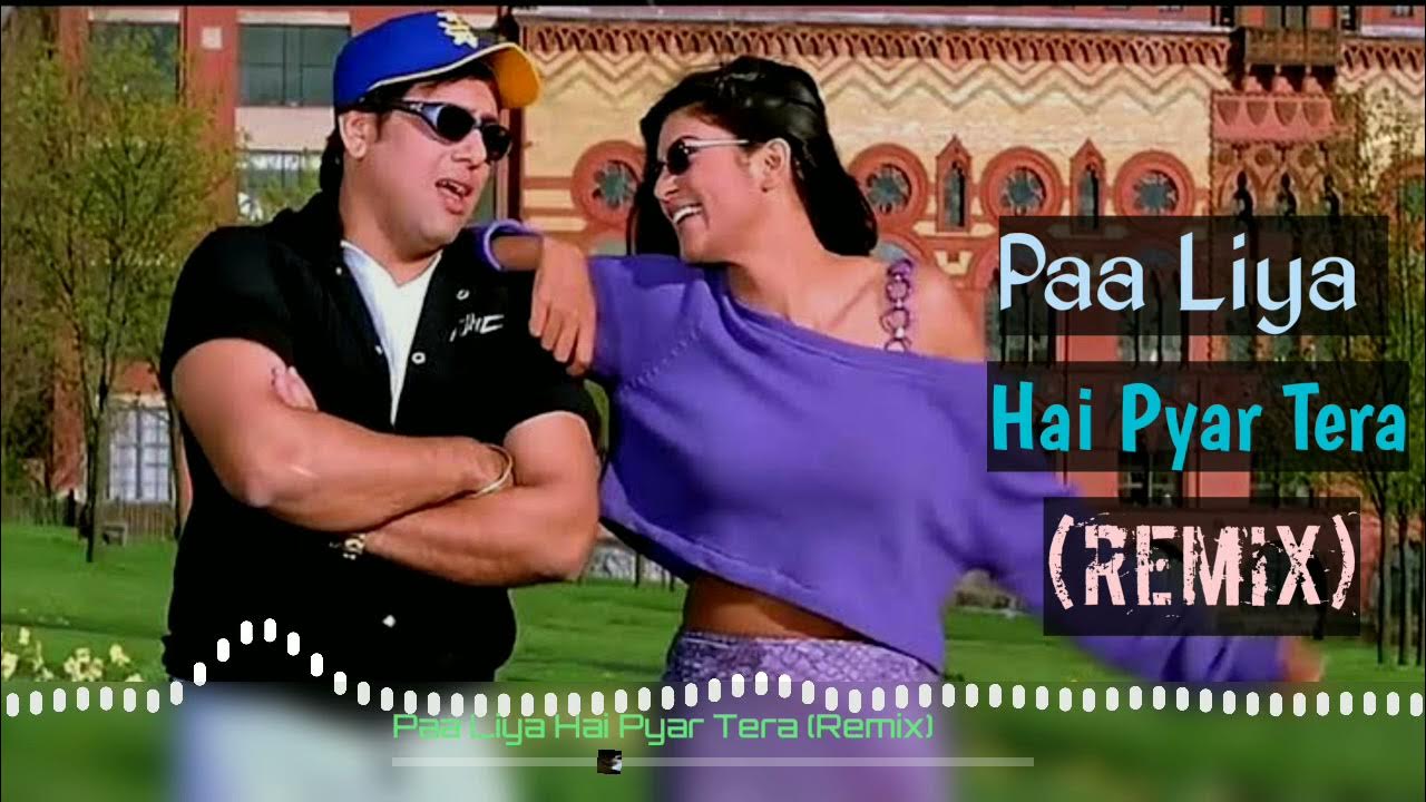 Paa Liya Hai Pyar Tera (Remix) | Govinda Song | Alka Yagnik, Udit Narayan | Dj Song | HD Paa Liya Hai Pyar Tera (Remix) | Govinda Song | Alka Yagnik, Udit Narayan | Dj Song | HD