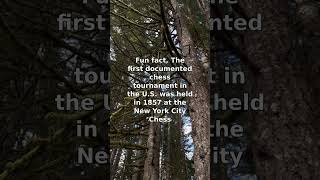 First U.S. Chess Tournament Took Place in 1857