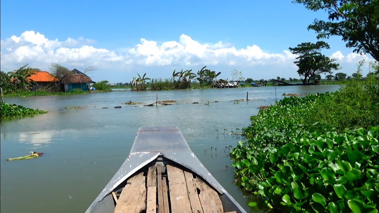 Wedan edan...Tambak dan sungai disini seperti laut pantes banyak ikannya saya mancing sebentar panen
