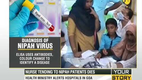 Your Story: Nipah virus scares India, takes lives of many