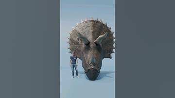 Compsognathus head vs Triceratops head