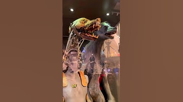 Look how the werewolf scene was shot in Harry Potter! #harrypotter