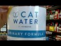 How to keep your cat hydrated