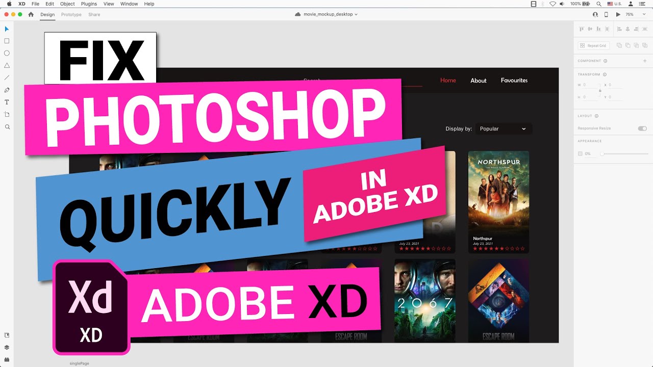 adobe photoshop xd download