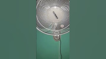 Quạt treo tường senko t1680 (2023)