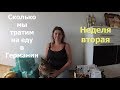 Недельная закупка продуктов в Германии /Цены на продукты /Сколько мы тратим на еду /Жизнь в Германии