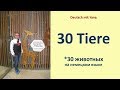 30 животных на немецком