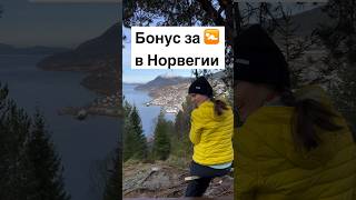 Бонус за ребёнка в Норвегии #норвегия #жизньвнорвегии #норвежцы