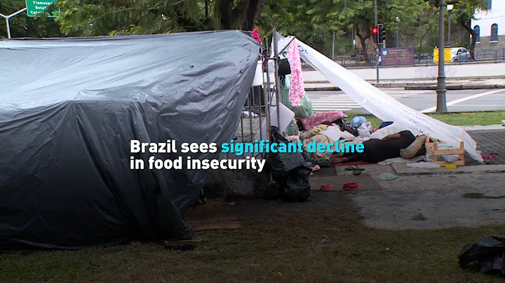 Brazil sees significant decline in food insecurity