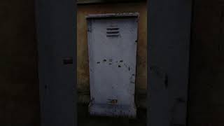 Мод на разнообразие фотографий в Stalker Anomaly