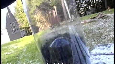 Yankee Whipper® Seed Feeder  | DrsFosterSmith.com