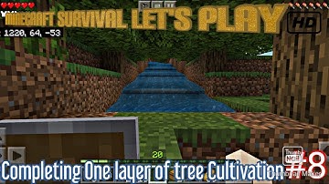 Completing One layer of tree Cultivation in Minecraft Survival let