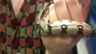 I found a snake in DC!!