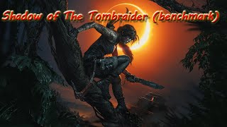 Shadow of the Tomb Raider (benchmark AMD setup)