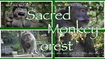 Ubud Sacred Monkey Forest Sanctuary  Bali