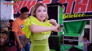 SANTRI PEKOK   VEGA AGUSTINA - NEW LEVY'S STAR - ULANG TAHUN ELYSIA SAFA AQILLA - TEGAL SAMBI