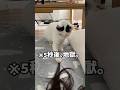 穏やかな朝のはずだったのに…数秒後､地獄。