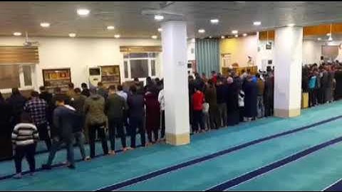 القارئ عمر عبدالله بشک ژ سورتا ( البقرة )