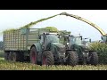 Krone Big X 1180 working fast in the field chopping corn | XXL Mais Hakselen | Maishäckseln | Silage