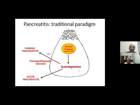 Video: WSES-richtlijnen Voor Het Beheer Van Ernstige Acute Pancreatitis