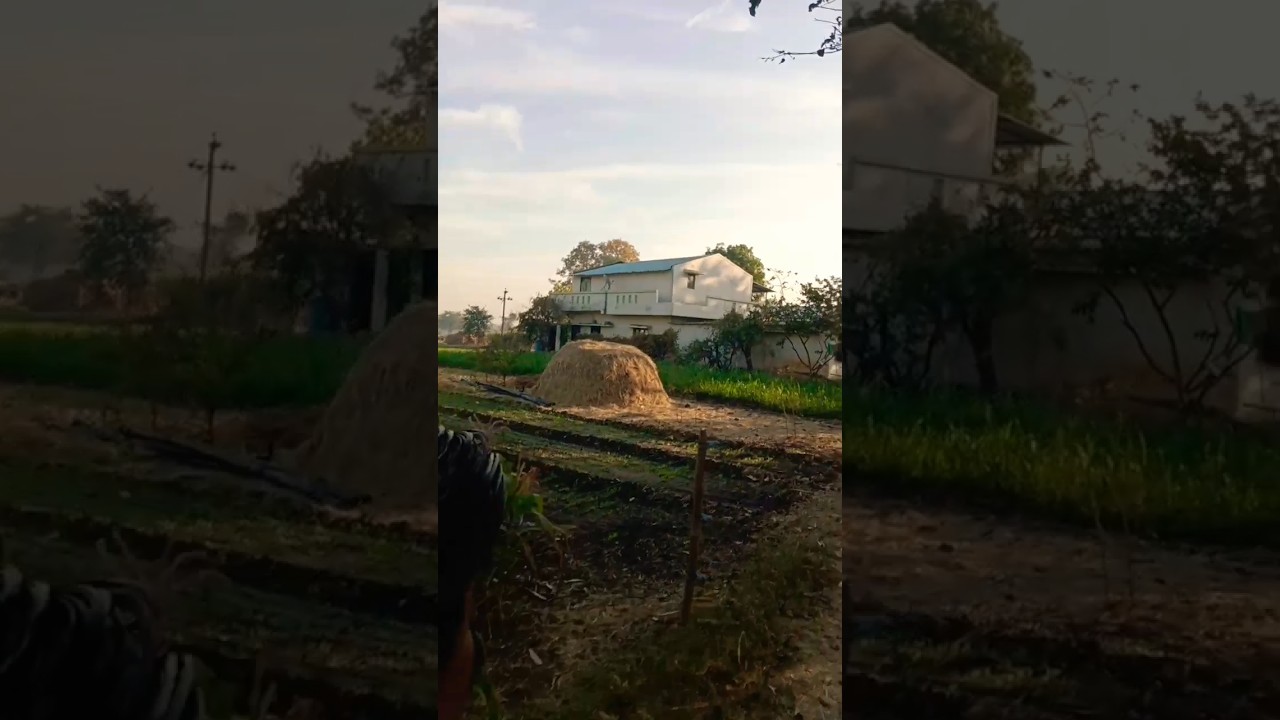 Shorts on YouTube Video  Gamda ni sundarta