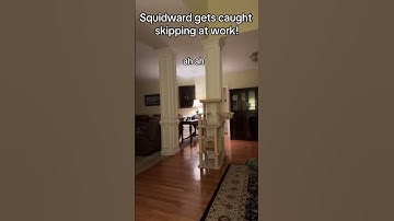 Mr Krabs doesn’t like lazy employees! #youtubeshorts #comedy #funny #spongebobmeme