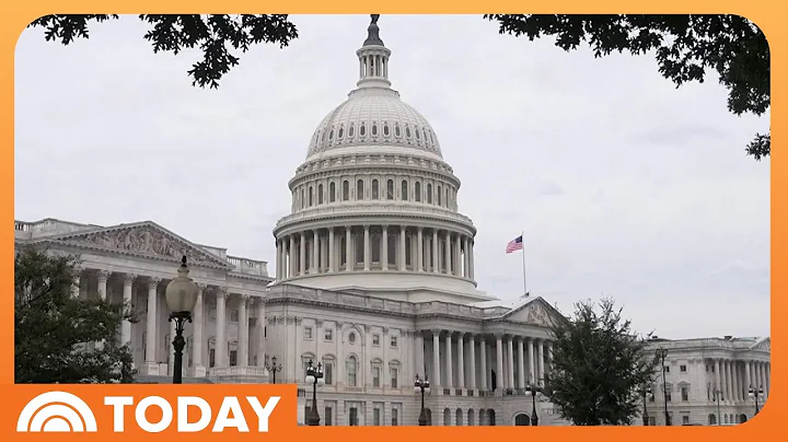 Shutdown Day 29: Flight Delays Pile Up, Food Assistance to Expire