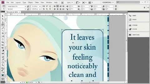 Adope Flash Tutorial CS4 Advanced Navigation