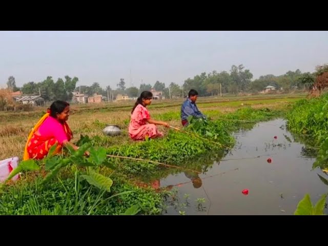 Fishing Video || Don't believe it until you see the endless fish stocks in the village canal class=