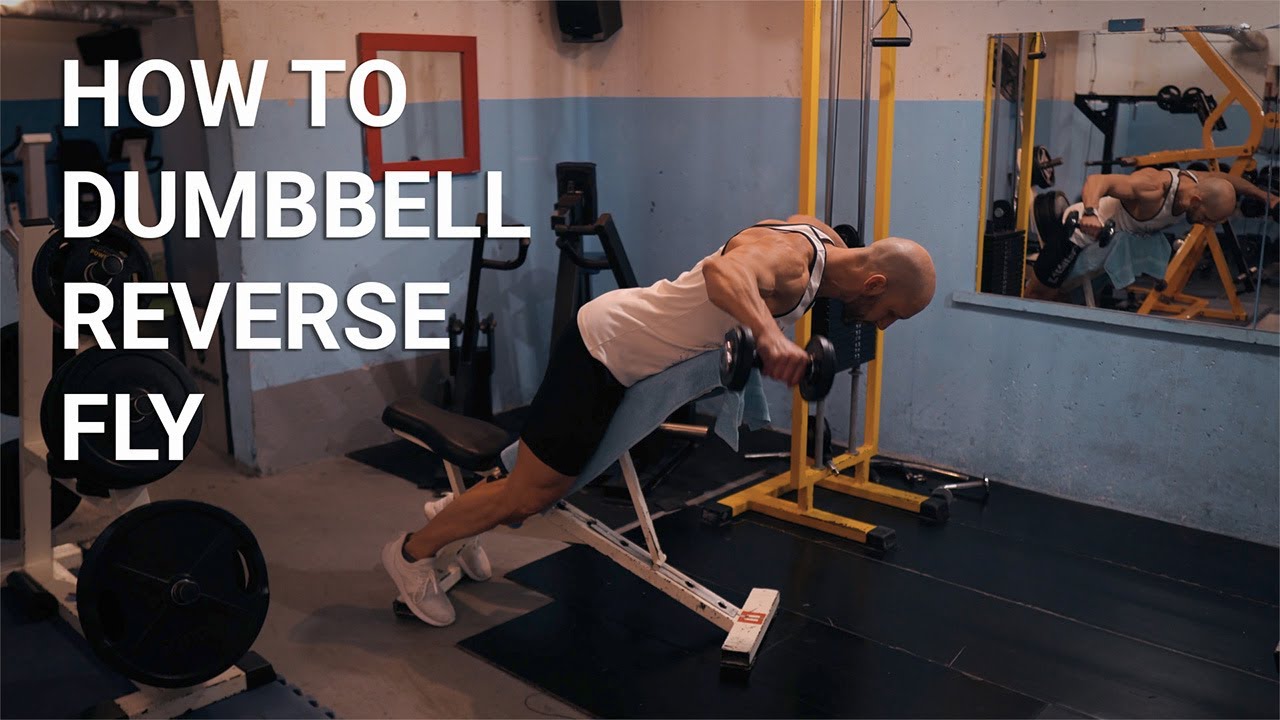 How to Dumbbell Reverse fly - YouTube